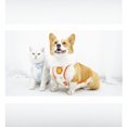 thumbnail image 3 of Dog And Cat Belly Band, Prevent Cold Protect Belly, Pet Corgi Comfortable Homewear, 3 of 3
