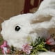 thumbnail image 5 of 2 Piezas de Juguetes de Conejos de Pascua de Peluche Suave, Accesorios de Fotografía, Arte para de Escritorio Yuyangstore Conejo de Pascua, 5 of 8
