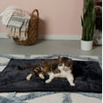 thumbnail image 4 of Furhaven ThermaNAP Self-Warming Cat Bed for Indoor Cats & Large/Medium Dogs, Washable & Reflects Body Heat - Quilted Faux Fur Reflective Bed Mat - Black, Large, 4 of 9