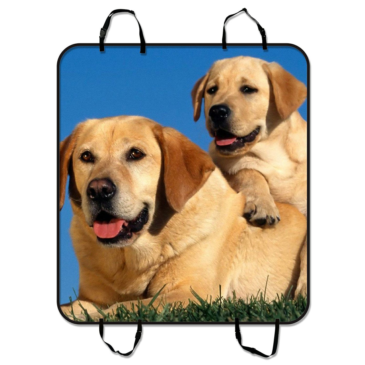 Are Labrador Retrievers Good Protectors