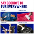 thumbnail image 4 of Paquete de removedor de pelo para mascotas ChomChom Roller & Detailer, 4 of 9