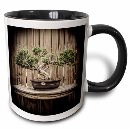 

3dRose Bonsai on a stand - Two Tone Black Mug 11-ounce