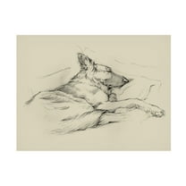 Trademark Fine Art Ethan Harper Dog Days Iv Canvas Wall Art - 14x19