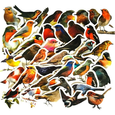 Robin Bird Stickers | 40 Pcs Redbreast Bird Waterproof Vinyl Decals for ...