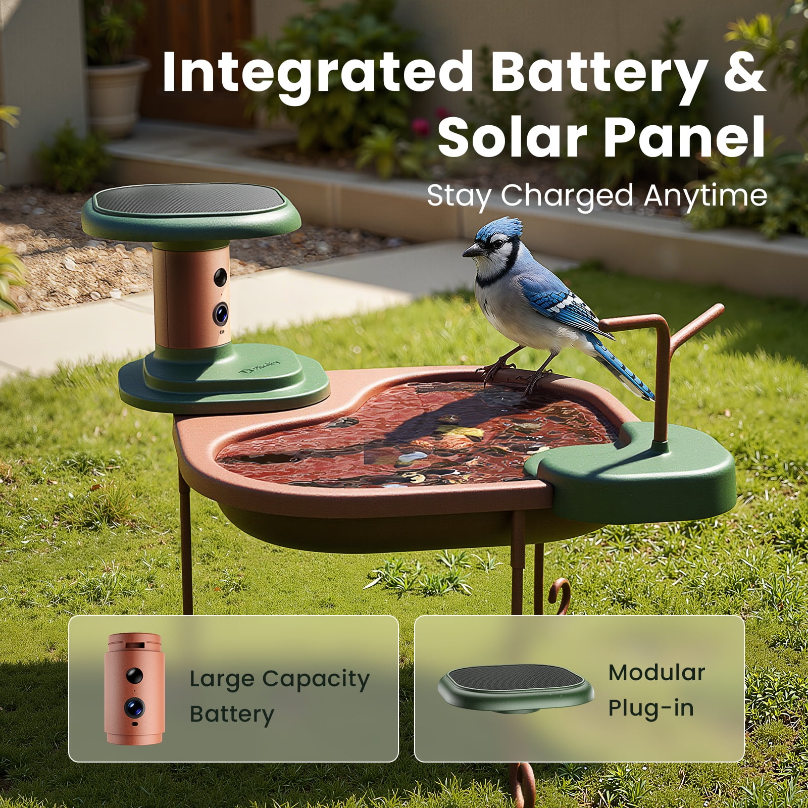Birdfy Smart Bird Bath with Camera Solar Powered, AI Identify, Live View, Instant Notify, Ideal Gift for Bird Lovers
