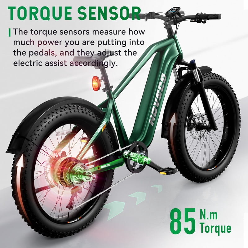 HOVSCO HovAlpha 26" Fat Tire Electric Bike, 750W Electric Mountain Bike for Adults, 48V/20AH Samsung/LG Battery, APP Control, UL2849, Classical Green