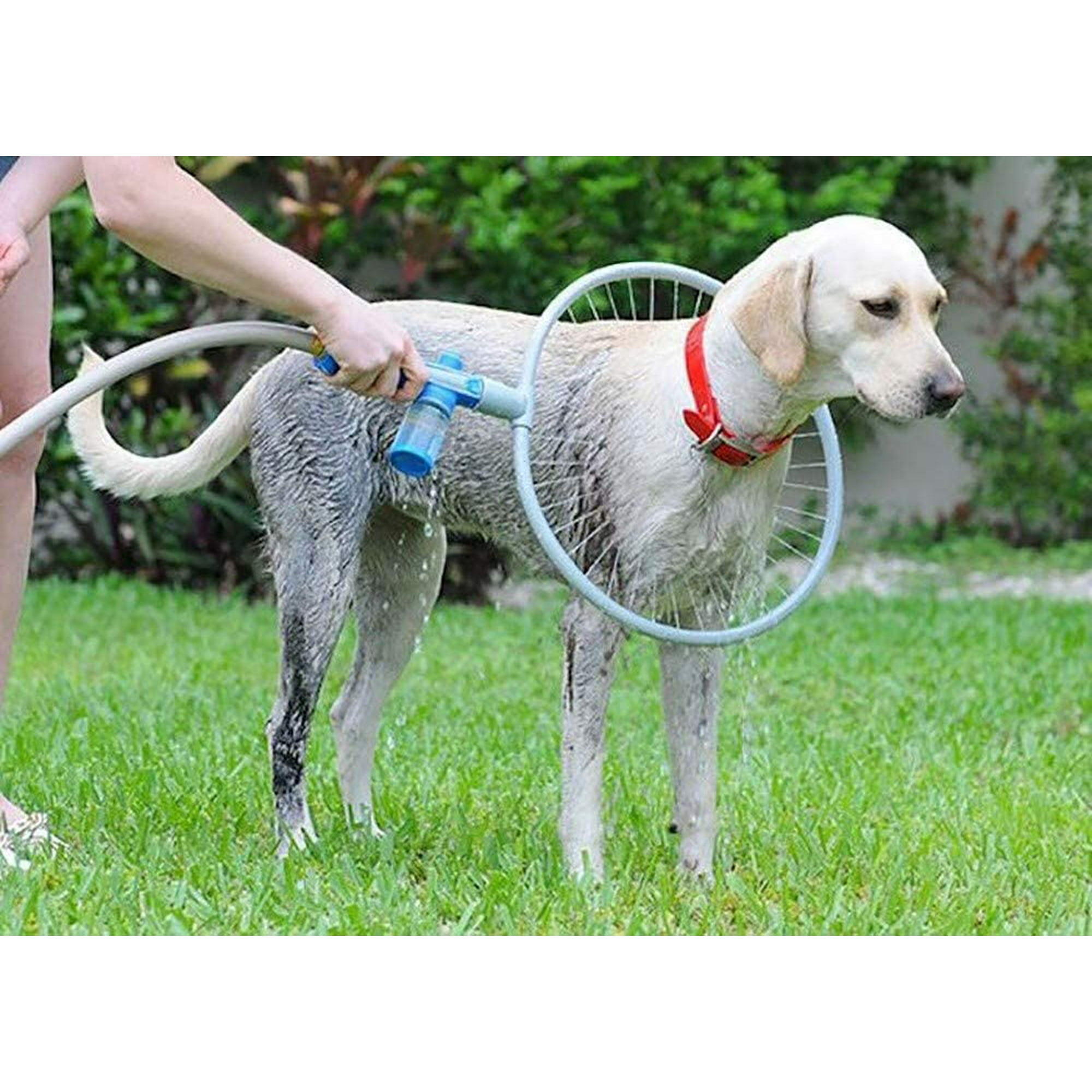 Dog shower attachment hot sale