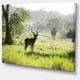 Antilope Solitaire dans le Parc Vert - Paysage Africain Toile Art Imprimer – image 2 sur 3