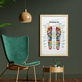 thumbnail image 2 of Human Anatomy Wall Art with Frame, Colored Chart of Foot Massage Body Parts Internal Organs and Connection, Printed Fabric Poster for Bathroom Living Room, 23" x 35", Multicolor, by Ambesonne, 2 of 2