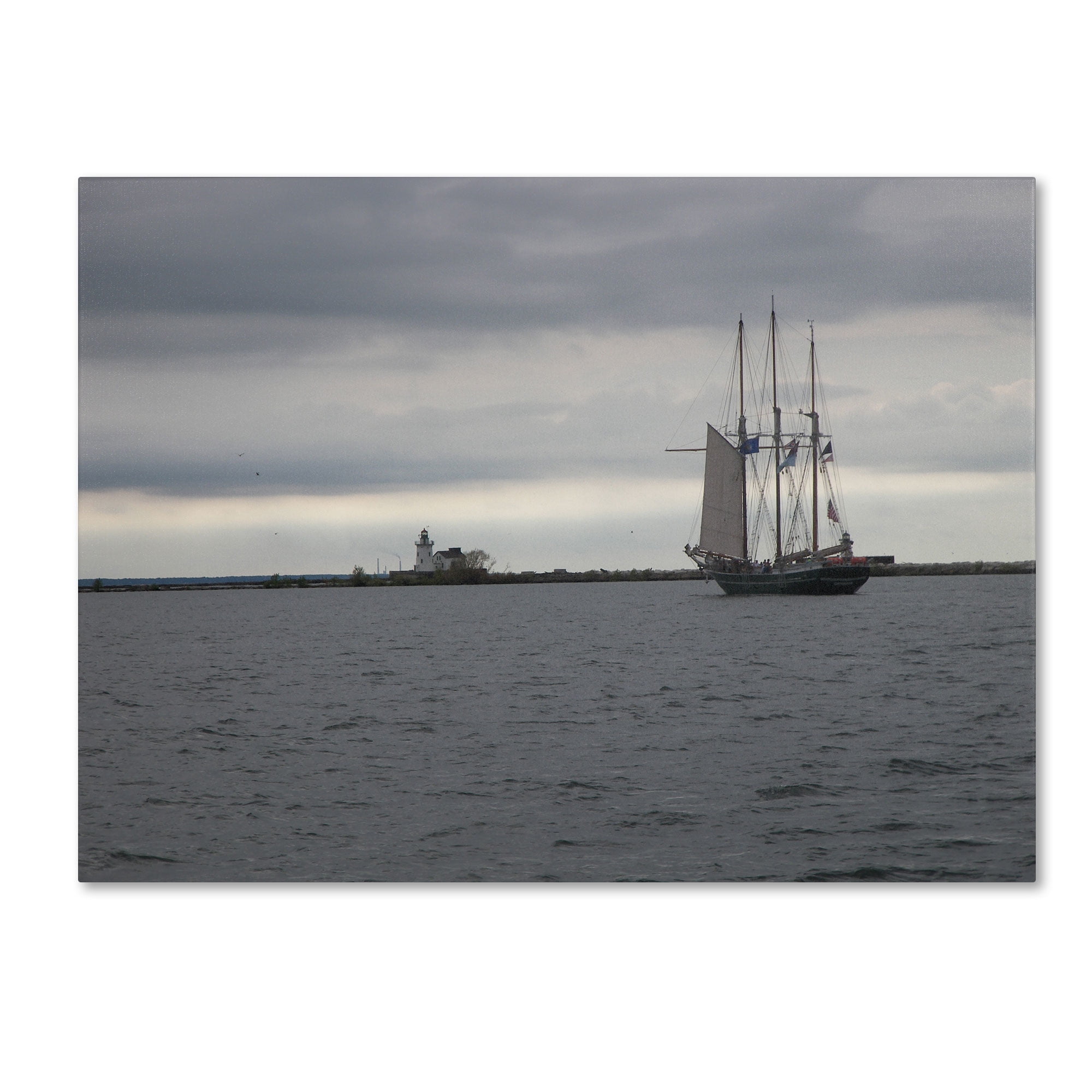Trademark Fine Art "Breaking Boundary" Canvas Art by Monica Fleet