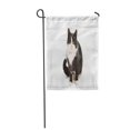 thumbnail image 1 of JSDART Black White Cat on Isolated Background Backdrop Breed Camera Garden Flag Decorative Flag House Banner 28x40 inch, 1 of 1