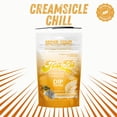 thumbnail image 6 of TeaZa Herbal Energy Pouches Creamsicle Chill Flavor, 4 Bags, Made From Tea, 100 Pouches, 6 of 7