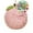 D, variant on Yoloke Fuzzy Ball Hand Towels Soft Absorbent Chenille Ball Towel Sets, Cute Decorative Hand Dry Towels with Hanging Loops for Kitchen Bathroom