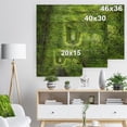 thumbnail image 5 of Designart 'Lush Green Forest around Rail Way Tunnel ' Landscape Print on Natural Pine Wood, 5 of 5