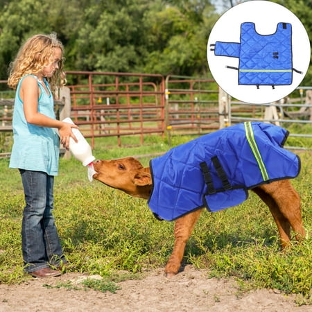 Beaupretty 1Pc Blue Winter Cow Calf Coat Waterproof Coat for Cold Weather
