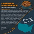 thumbnail image 2 of Blackwood Sensitive Skin & Stomach Lamb Meal & Brown Rice with Ancient Grains Dry Dog Food, 4.5 lb Bag, 2 of 8