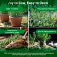 thumbnail image 6 of Organo Republic Thyme Seeds Pack – 0.5 g 1,350 Non‑GMO Heirloom Thyme Seeds – Indoor and Outdoor Herb Seed Packet for Home Garden & Hydroponics, 6 of 6