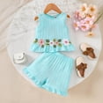 thumbnail image 2 of Soepste Toddler Girl Set Girls 4T Outfits Toddler Girl Clothes Top Shorts And Cute Toddler Girls Summer Outfits Clothing Set, 2 of 7