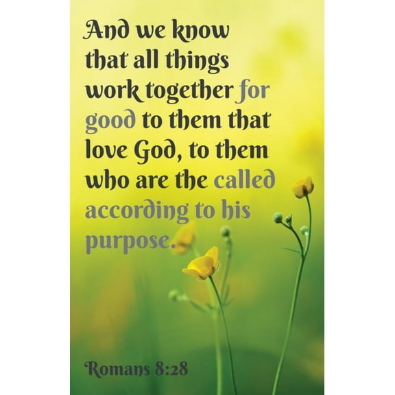 B&H Publishing 381467 We Know That All Things Work Together for Good Romans 828 KJV Bulletin