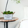 thumbnail image 5 of 2 Count Home Decoration Decorative Bucket Flower Plants White, 5 of 8