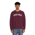 thumbnail image 5 of Speech Therapist Language Pathologist SLP Teacher Sweatshirt Gifts Shirt, 5 of 7