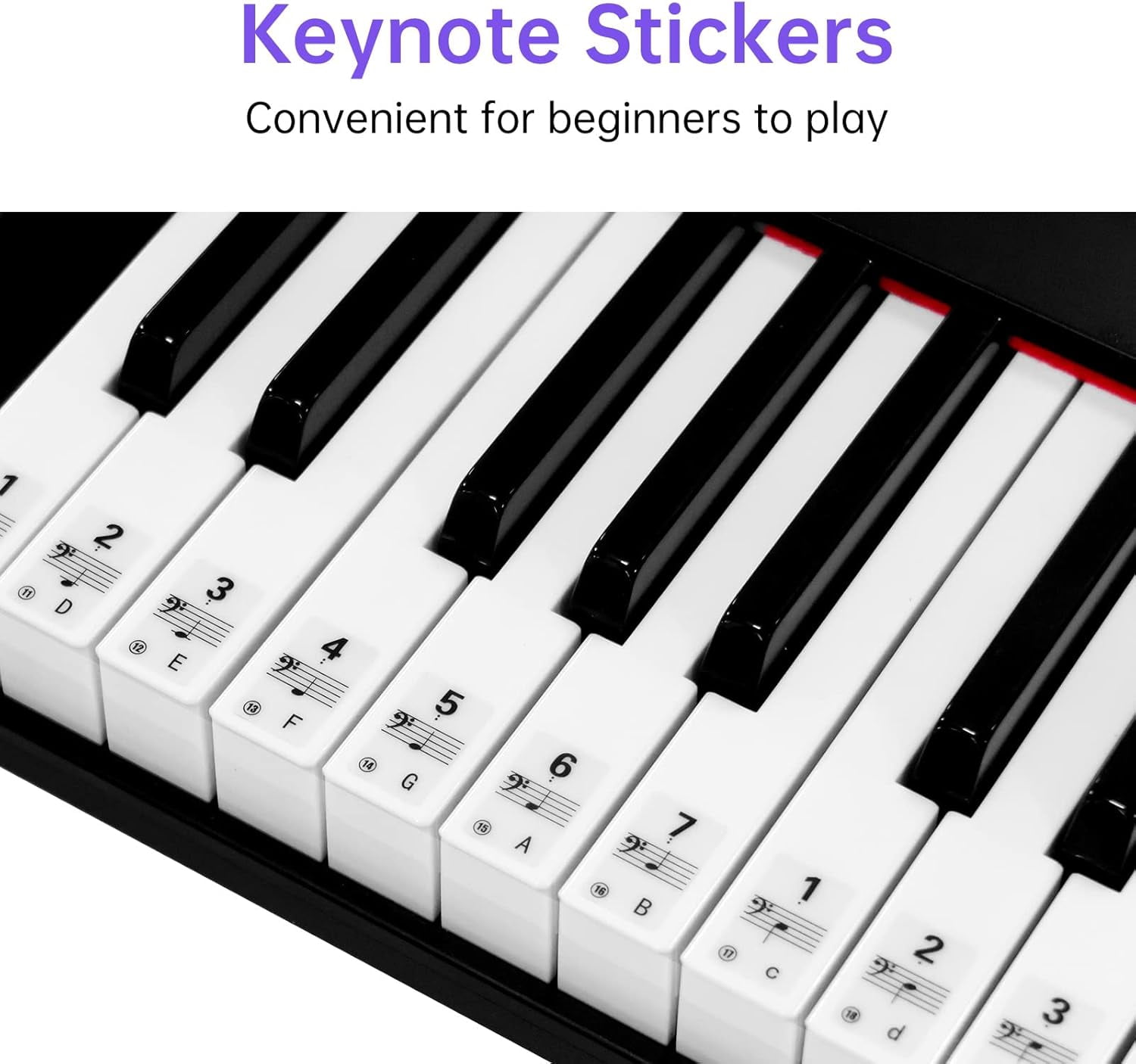 TERENCE Electronic Piano with 61 Semi Weighted Keys