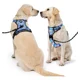 thumbnail image 2 of Pecheras Para Perros Con Correa Y Cinturón De Seguridad, 2 of 8