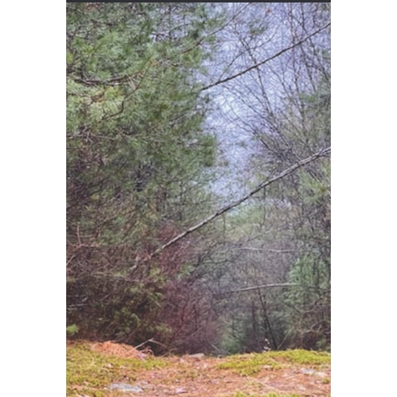 The Path (Paperback)