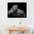 thumbnail image 2 of Nawypu  Leopard Wall Art for Bedroom Living Room Black and White Leopard Canvas Wall Art for Home Office, 2 of 4