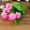 Pink, variant on SPRING PARK 1 Bunch 9 Head Artificial Flowers, Fake Flowers Silk Plastic Artificial Hydrangea Bridal Wedding Bouquet for Home Garden Party Wedding Decoration