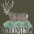 thumbnail image 3 of CafePress - Wyoming Buck Dark T Shirt - Men's Classic Graphic Cotton T-Shirt, 3 of 5