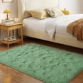 thumbnail image 4 of Janvonne Area Rugs for Doorway,3x5ft Non Skid Shaggy Carpets for Entrance hall, Entrance, Home Decor Aesthetics,Mint Green, 4 of 8