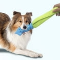 thumbnail image 1 of Squeaky Interactive Chew Floating for Design TPR Rubber for Indoor Outdoor Play, 1 of 3