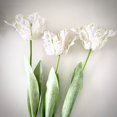 thumbnail image 2 of 1Pc Artificial Flower 68cm 3D Parrot Tulip Real Touch Fake Flower Decor for Home White, 2 of 6