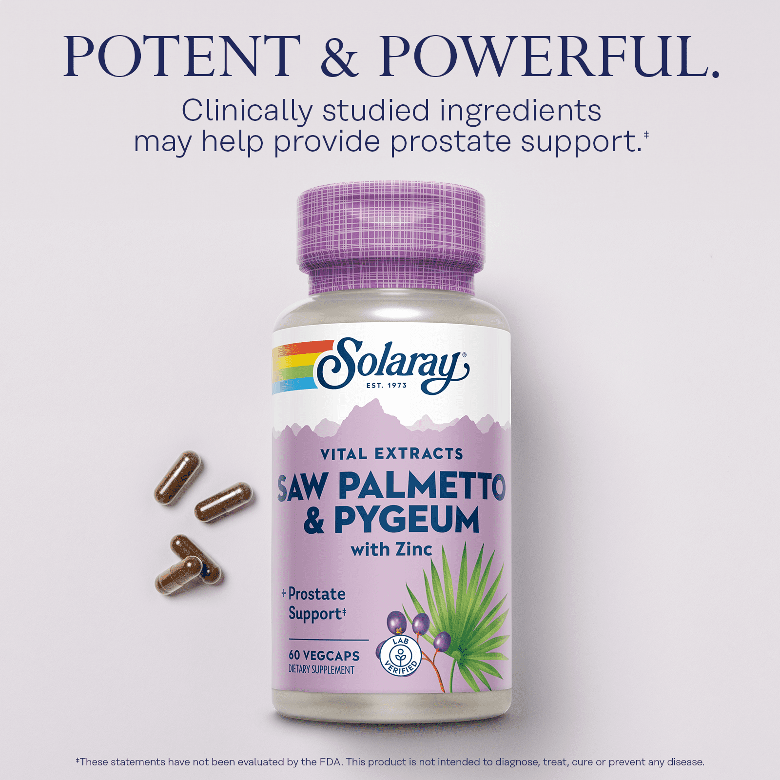 Solaray Pygeum and Saw Palmetto Berry Extracts | Mens Health & Prostate Function Support | Zinc, B-6, Pumpkin Seed & Amino Acids | 60 VegCaps