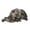 Multicolor, variant on Unisex Camouflage Baseball Cap Outdoor Sun Hat Adjustable Hunting Hiking Lightweight Baseball Hat Multicolor
