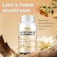 thumbnail image 3 of Lion's Mane Mushroom - Support Mood and Cognitive Function, Brain & Nervous System Health - 120 Capsules, 3 of 8