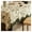 Green, variant on Dining table cloth, American tablecloth washable, rectangular tablecloth, water-repellent tablecloth, 100x140cm table linen, for coffee table, dining table tablecloth
