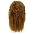 thumbnail image 4 of LUXLUXE Tierra Curly 19 in Long 4x4 Hand Tied Lace Braid Braided Wig, Beauty Heat Resistant Fiber, Golden Blonde Color, 4 of 6