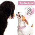 thumbnail image 2 of Golden Spike Collar for Dogs,With traction rope Spiked Dog Collar, Durable PU Leather Studded Dog Collar with Leash, Funny Mushrooms Rivet Small Puppy Pet Cat Adjustable Collar 1Pack, 2 of 7