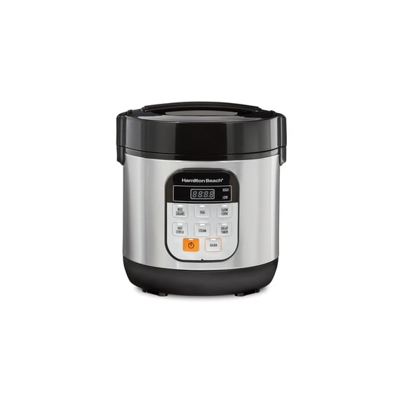 Compact Multi Cooker - Rice, Egg, Slow, Steam Cooker for 1 - 2 People