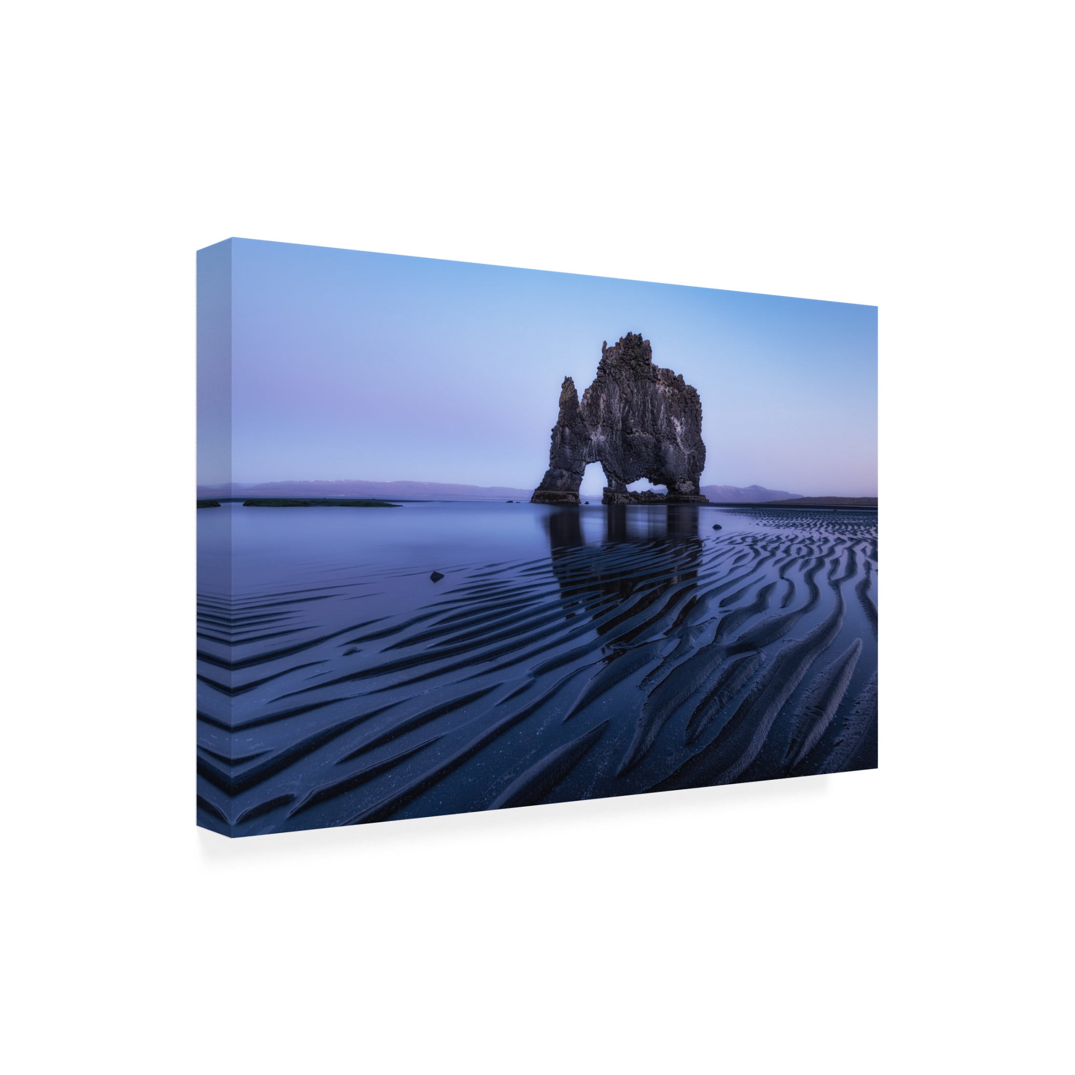 Trademark Fine Art Sunny Ding Rhino Rock Canvas Wall Art