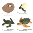 thumbnail image 4 of lionlar Interactive Creature Educational Toys - Sea Turtle Model 2 Pcs, 4 of 9