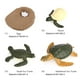 thumbnail image 3 of Ciclo de vida de la naturaleza de la tortuga marina, juego de figuras de animales, juguetes para niños, fiesta temática tortuga marina 2124, 3 of 9