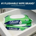 thumbnail image 2 of GentlePlus Flushable Wet Wipes with e & Vitamin E, 8 Flip-Top Packs, 42 Per Pack (336 Total Wipes), Packaging May Vary, 2 of 4