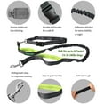 thumbnail image 4 of Jespet Hands-free Bungee Leash, 4 of 7