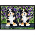 thumbnail image 1 of Carolines Treasures SS8334MAT Paillasson Intérieur Extérieur 18 x 27 Po. Bernese Mountain Dog, 1 of 4