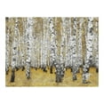 thumbnail image 3 of Tiptophomedecor Landscape Wallpaper Wall Mural - Autumnal Birch Forest, 3 of 4