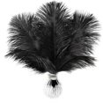 thumbnail image 1 of Plumas de Avestruz Soarer 15 piezas 25-30 cm Plumas Negras, 1 of 7