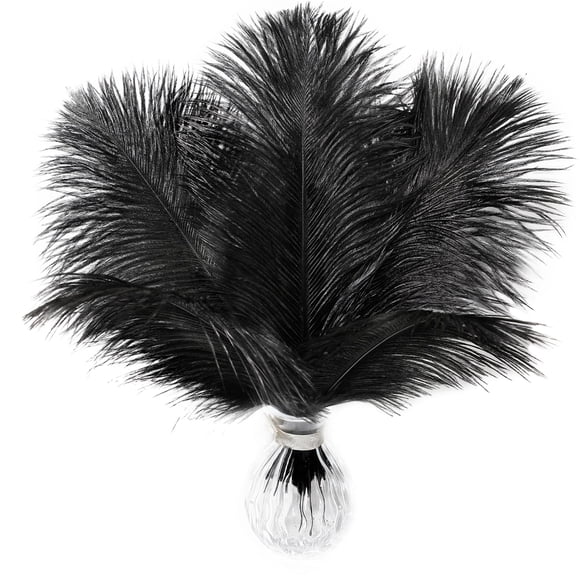 Plumas de Avestruz Soarer 15 piezas 25-30 cm Plumas Negras